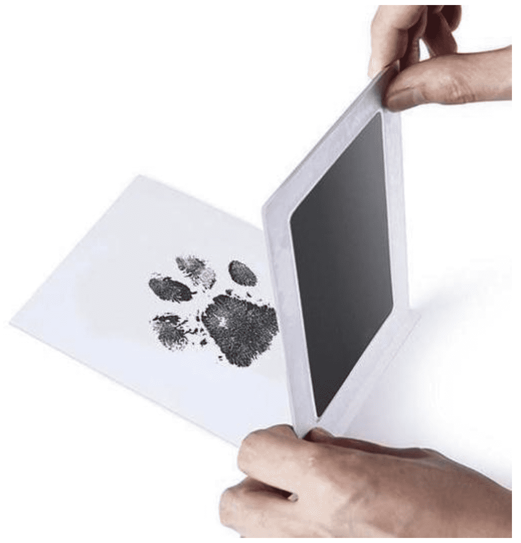 Top Top Online Shop Grooming & Healthcare Kits 2pcs Inkless Pet Paw Print Kit